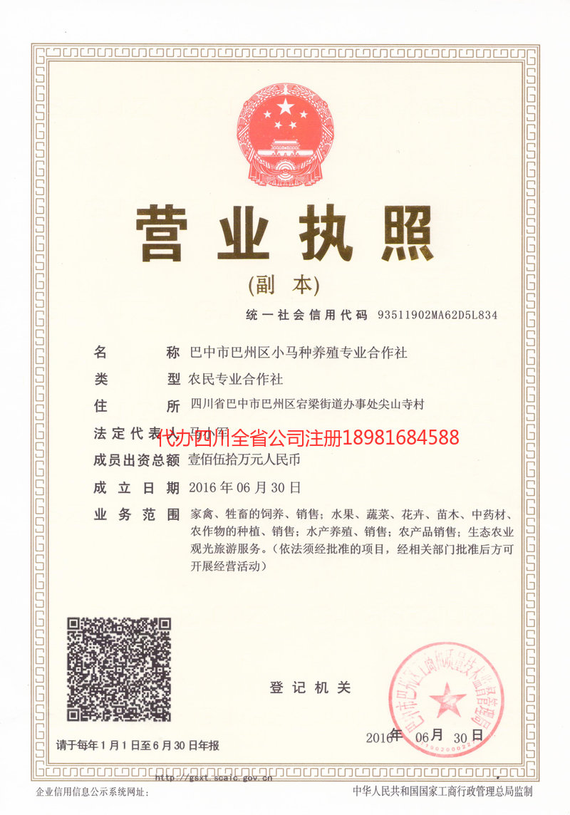 弥勒弥勒小马种养殖专业合作社